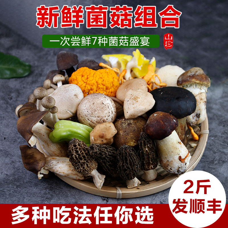 云南新鲜野生菌组合2斤羊肚菌鲜牛肝菌蘑菇时令杂菌煲汤食材鸡枞