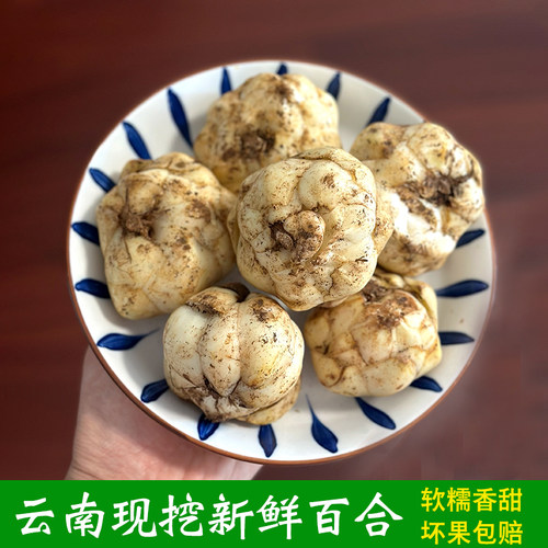 云南百合农家新货现挖食用菜非