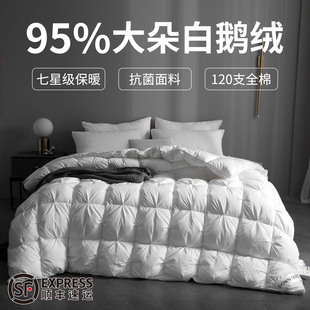 匈牙利羽绒被95白鹅绒秋冬被加厚保暖被子正品 五星级酒店宿舍被芯