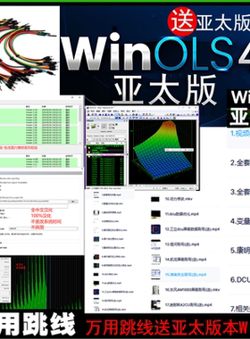 ECU跳线OBD专用赠不跳图亚太中文WINOLS4.7不改时间版