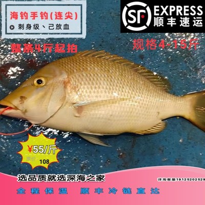 深海手钓鲜活放血新鲜连尖鱼刺身鱼生片即食料理海钓海鲜水产