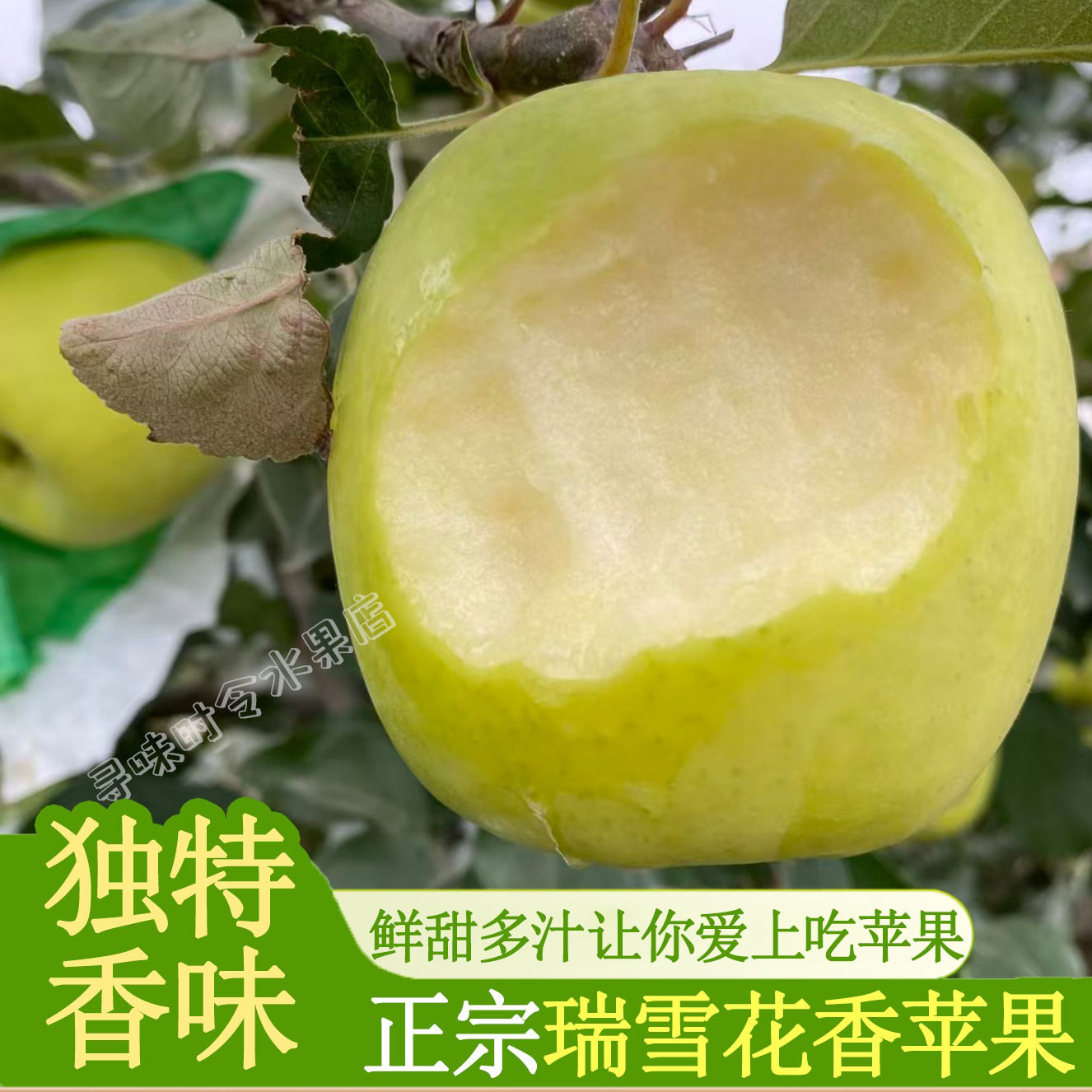 自带花香的瑞雪青苹果新鲜现摘