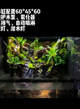 成品智能雨林缸定制包含全套设备全国可发货收到加水即可使用