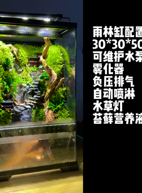成品智能雨林缸定制包含全套设备全国可发货收到加水即可使用