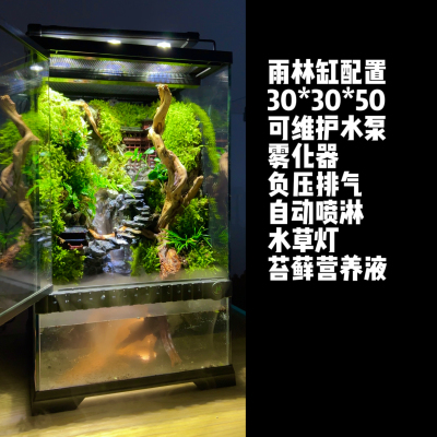 成品智能雨林缸定制包含全套设备全国可发货收到加水即可使用