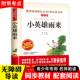 阅读四年级五年级六年级上册课外书籍天地出版 推荐 社爱阅读名著课程化从书青少年课外读物快乐读书吧 管桦著红色经典 小英雄雨来正版