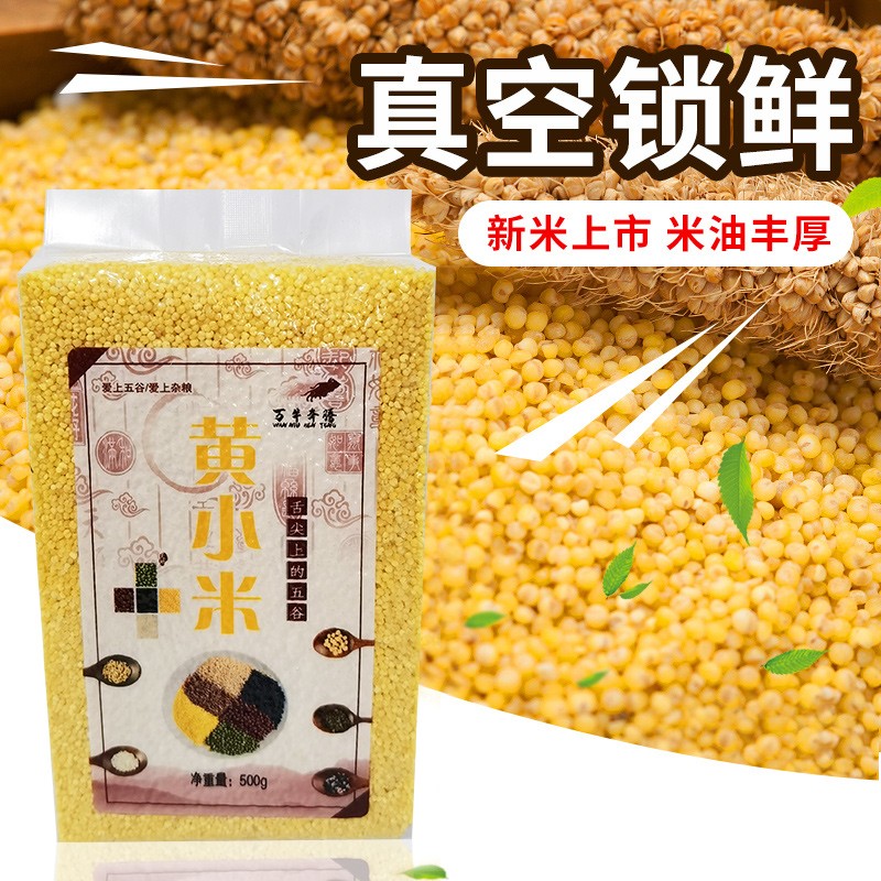 新鲜黄小米真空包装食用杂粮