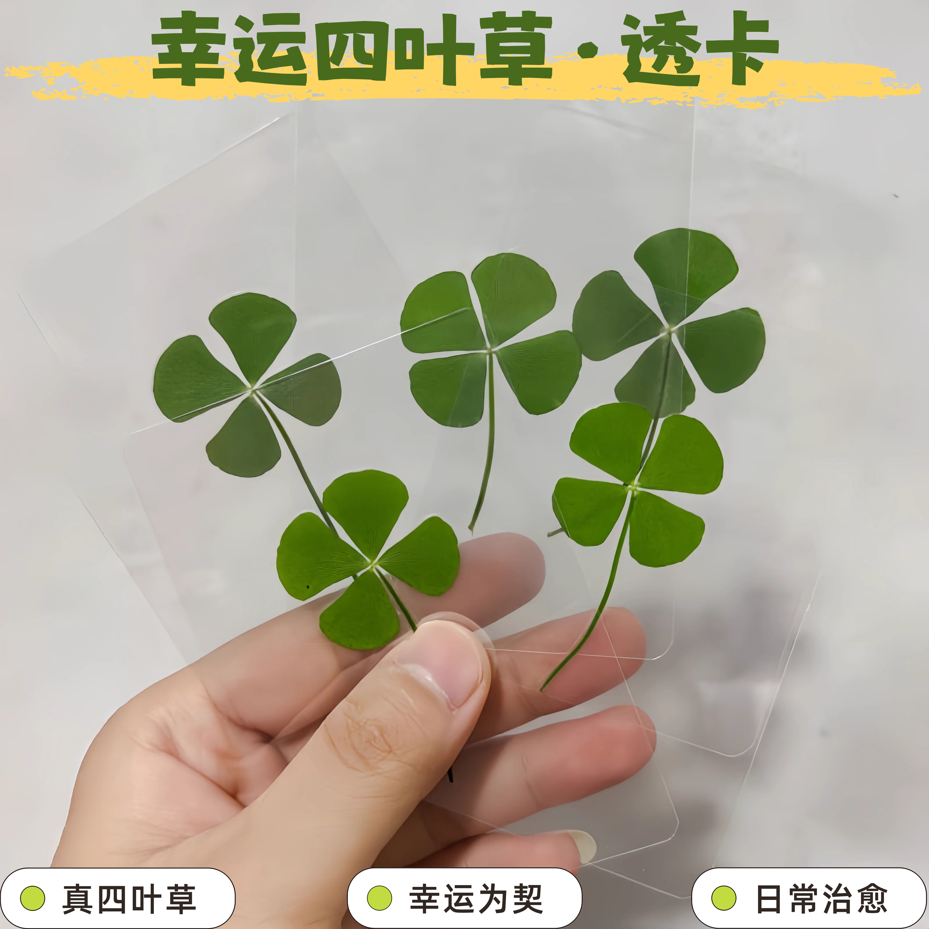 小红书同款塑封幸运四叶草标本真树叶清新简约治愈透卡手工干花包