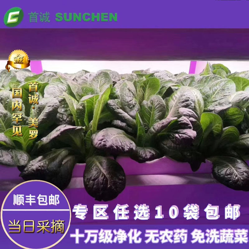 首诚高端蔬菜| 美罗无农药嫩鲜活（美罗5袋+优雅2袋+宝玉来3袋）