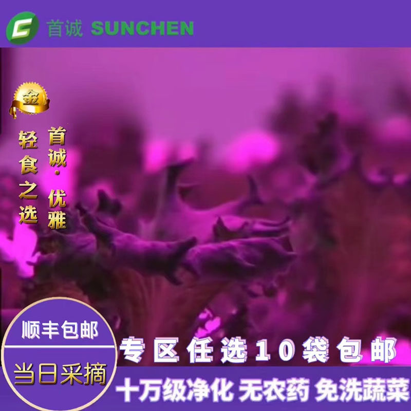 首诚高端蔬菜优雅无农药