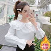 2025新款 秋冬洋气打底白衬衫 女 小清新蕾丝娃娃领衬衣 很仙 上衣