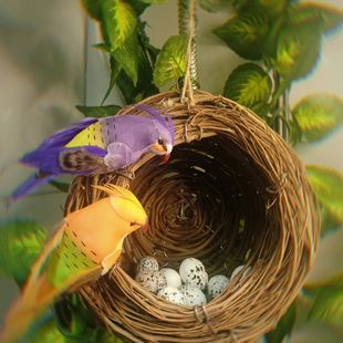 新款 饰布置品道具 森林系列道具草制鸟窝仿真鸟蛋婚庆挂件装
