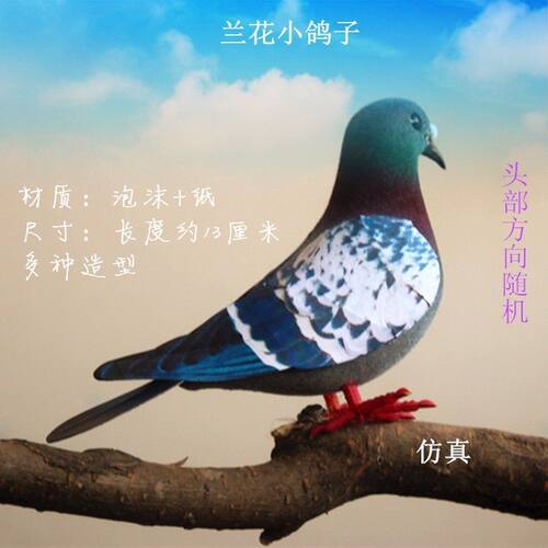 动物模型仿真信鸽斑鸠灰鸽子野假鸽子道具摄影园林摆件静态模型