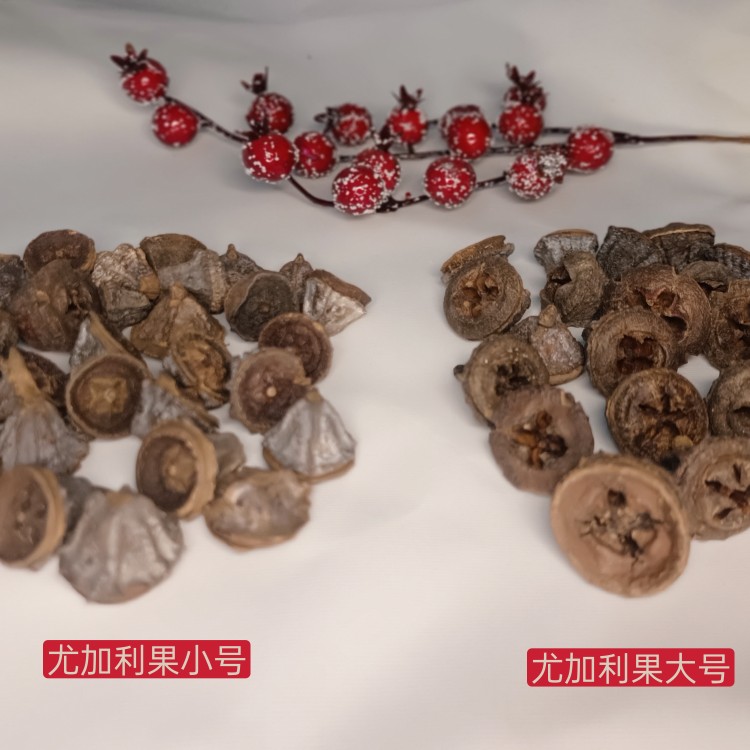 MEIMUER天然植物diy干花果实装饰十字果尤加利果实小松果金属色系