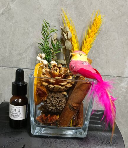 无火肉桂香薰精油干花扩香木摆件室内房间空气清新剂卧室持久留香
