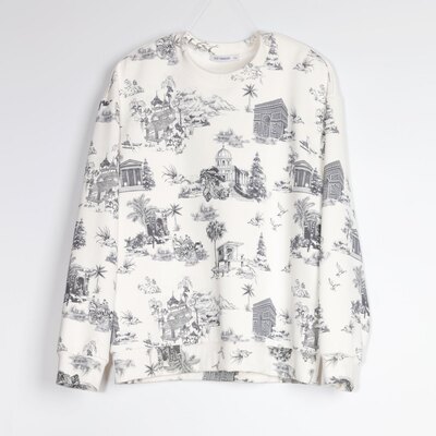 ALT阿恩蓝拓男士春秋内搭卫衣