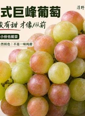 老式巨峰葡萄新鲜青红巨峰葡萄