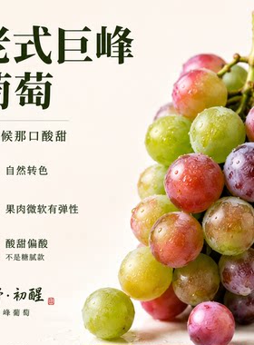 农家土葡萄青红葡萄酸甜老味道