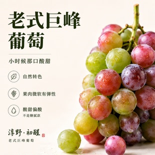 老式巨峰葡萄青红巨峰葡萄老品种自然转色当季新鲜酸甜小时候味道