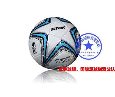 Ballon de football - Ref 7693 Image 4