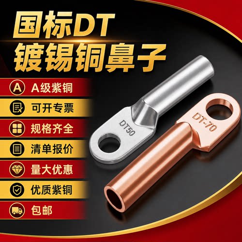 DT国标铜镀锡接线端子