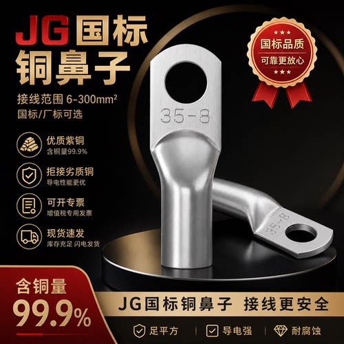 JG国标加厚紫铜镀锡铜鼻子10平方/16/25/35/50船用铜线耳接线端子