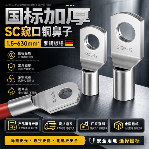 国标SC冷压窥口紫铜端子