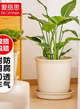 爱丽思 日本ZEN型阳台盆景圆形塑料花盆 室内创意个性盆栽小花盆