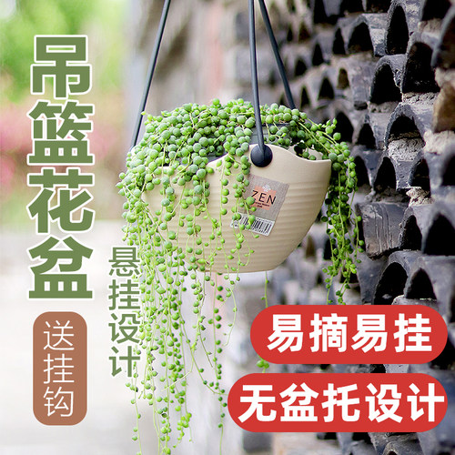 垂吊壁挂式花室外盆塑料