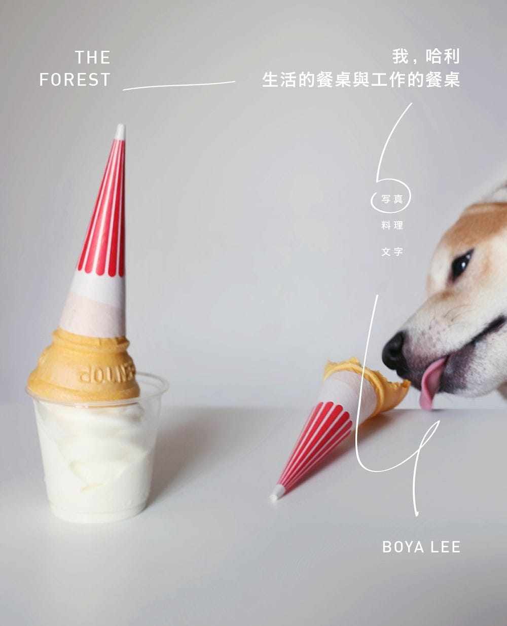 预售正版  我 哈利生活的餐桌与工作的餐桌 合作社出版 饮食 原版进口书