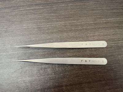 FST镊子11923-13 Fine Forceps-Mirror Finish SS 实验室精细镊
