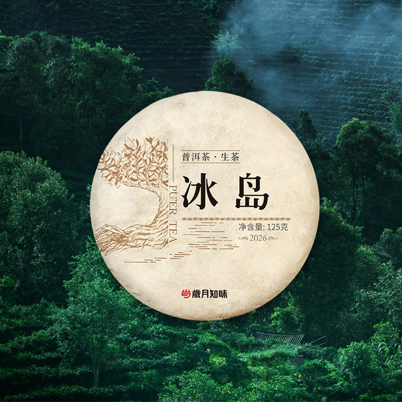 岁月知味2026年冰岛普洱生茶云南临沧明前老树头春茶 茶叶125g