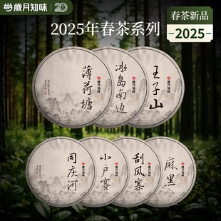 2025年古树春茶冰岛同庆河薄荷塘刮风寨易武临沧普洱生茶叶纯料