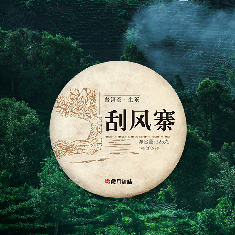 岁月知味2026年刮风寨云南义务明前老树头春茶普洱生茶茶叶125g