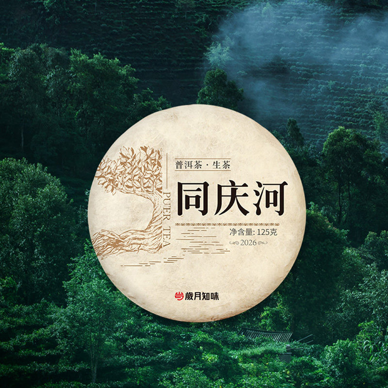 岁月知味2026年同庆河明前头春纯料云南易武老树普洱生茶叶125g