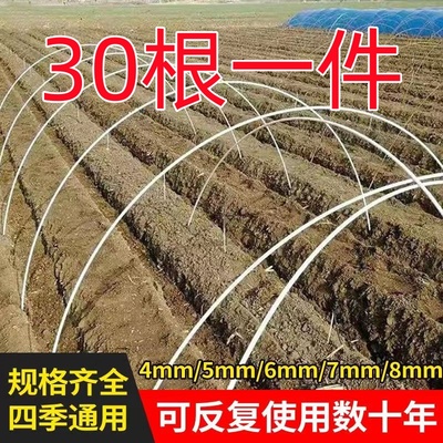 新型小拱棚支架豆角大棚骨架拱杆玻璃钢纤维杆农用菜地秧苗支撑杆