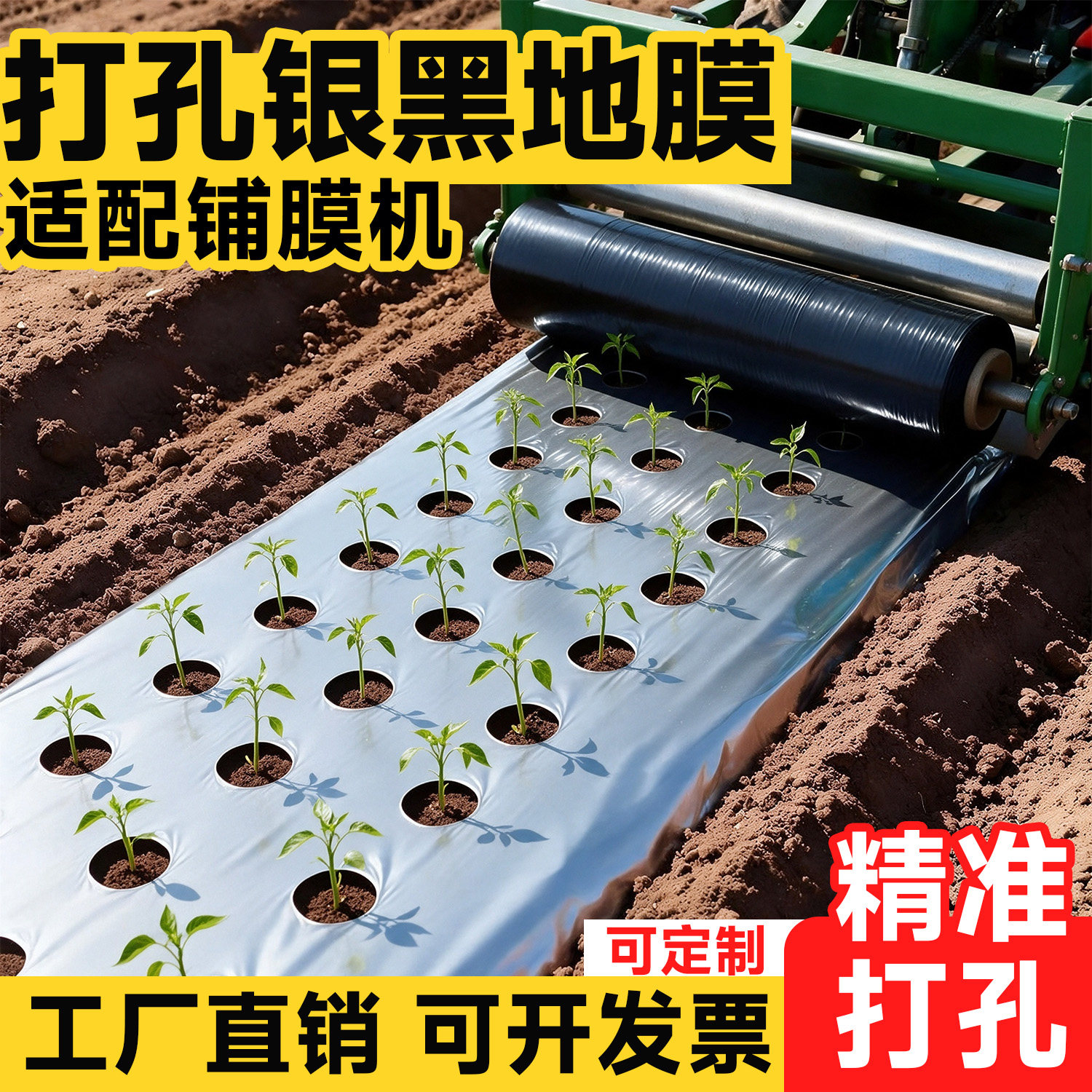 打孔银黑双色地膜加厚农用种植草莓种菜专用除草反光塑料薄膜防草