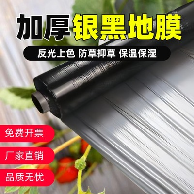 新款全新料银黑地膜韧性好更耐久