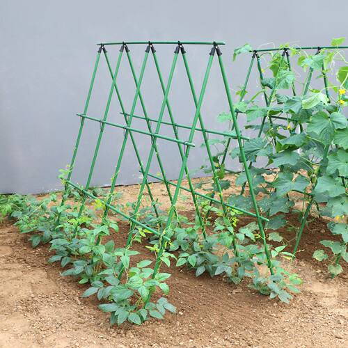 黄瓜爬藤架四季豆角西红柿支撑杆种菜瓜棚搭架子植物专用包塑钢管