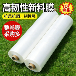 塑料薄膜加厚透明白膜塑料布大棚膜整卷尼龙膜防水布防尘防雨胶纸