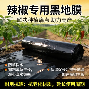 辣椒专用地膜种菜加厚农用种植塑料薄膜防草布除草批发保温膜地钉