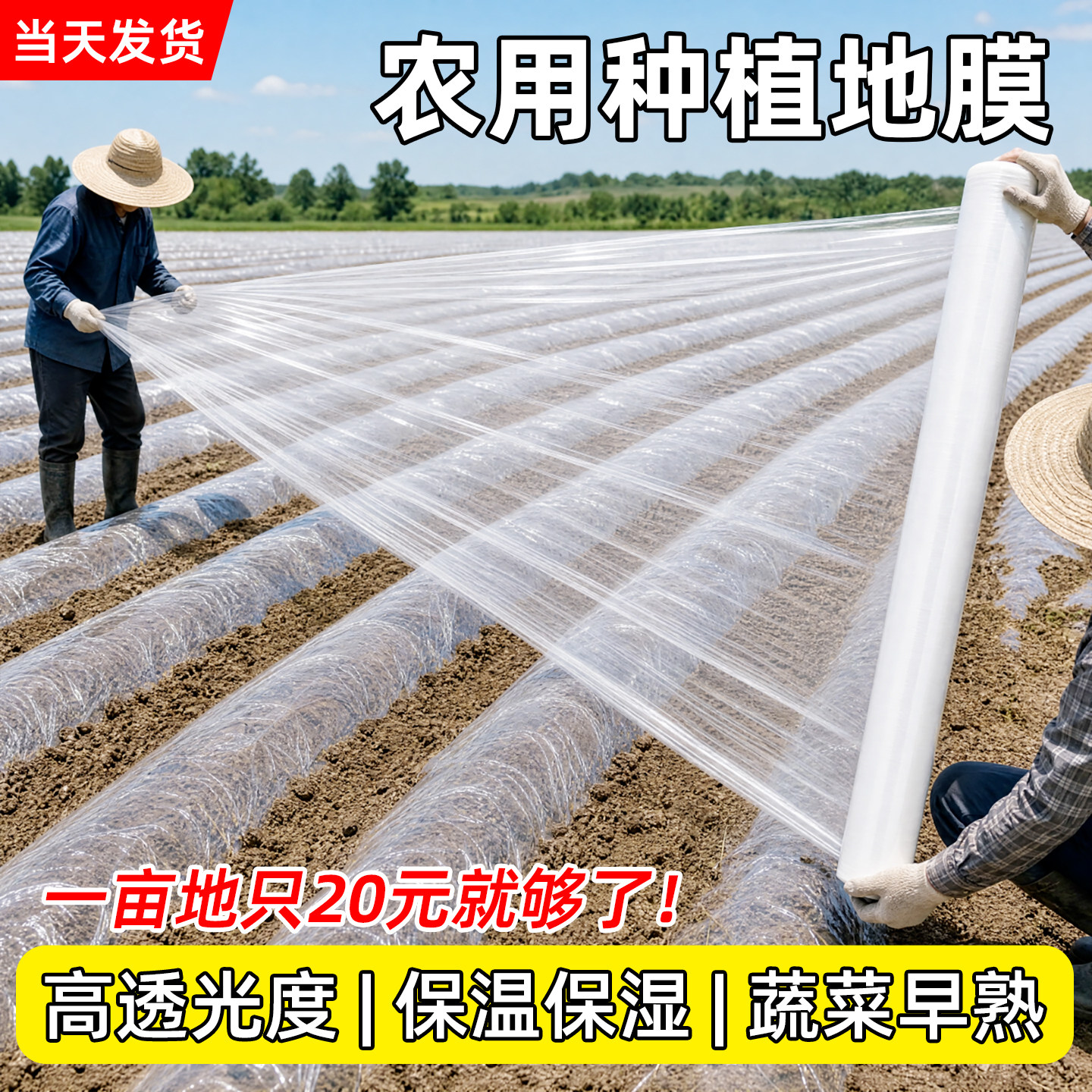 地膜农用种植塑料薄膜拱棚膜保温育苗保湿加厚透光种菜专用白地膜