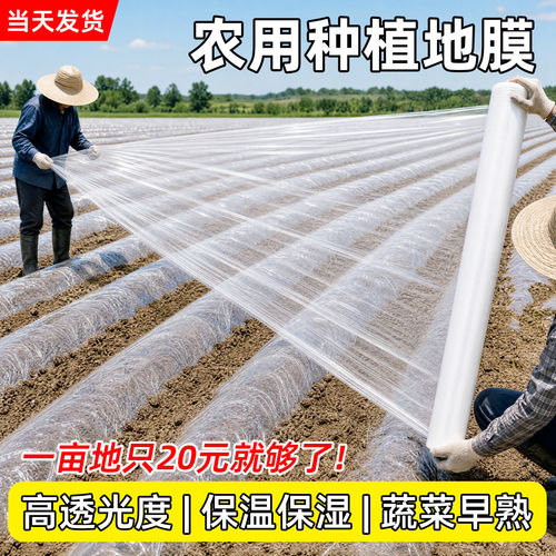 地膜农用种植塑料薄膜拱棚膜保温育苗保湿加厚透光种菜专用白地膜