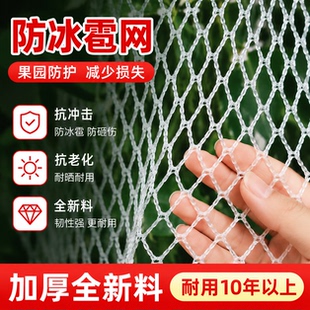 加厚防雹网果园防冰雹网抗老化果树农用网防护网防鸟神器防鸟网
