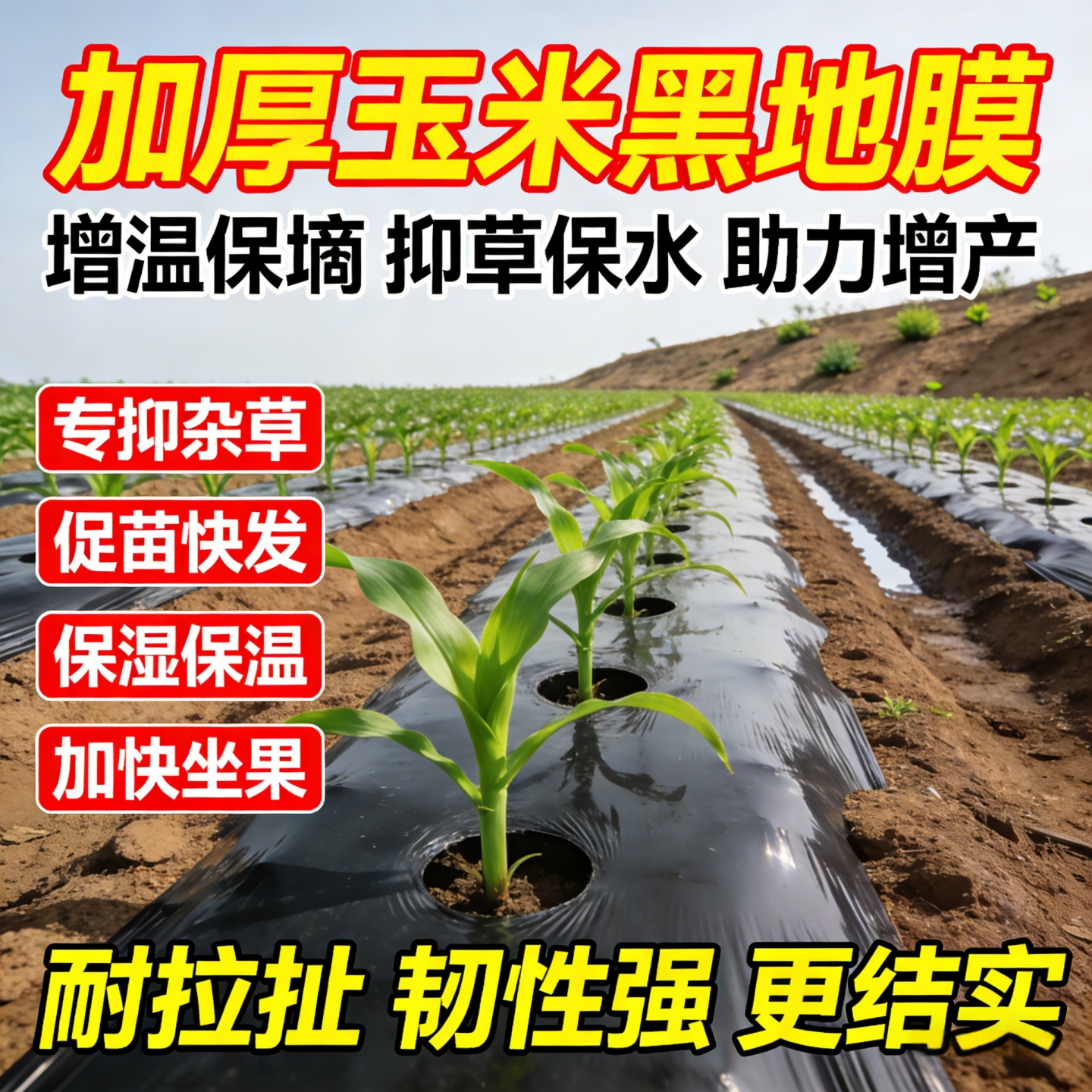 玉米专用地膜黑色加厚农用种植塑料薄膜防草布除草菜园保温防长草,农机/农具/农膜,农用薄膜,淘宝优惠券,粉丝福利购,淘宝优惠卷