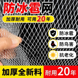 防雹网果园防鸟网葡萄网农用防护网果树防冰雹网神器果园葡萄树