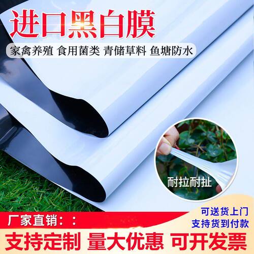 养殖大棚黑白膜隔热膜降温反光茂金属新料食用菌棚膜塑料膜防水