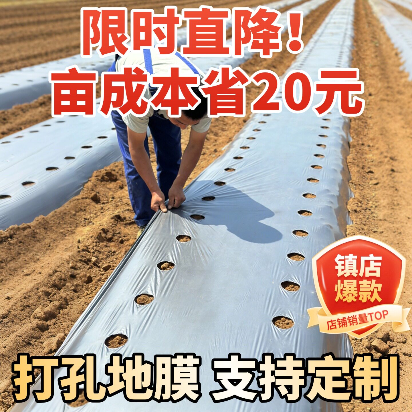 打孔银黑地膜农用种植种菜专用塑料薄膜防草保温保湿双色反光带孔