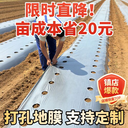 打孔银黑地膜农用种植种菜专用塑料薄膜防草保温保湿双色反光带孔