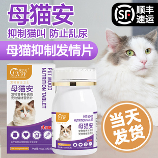 猫咪禁发情期粉母猫公猫专用抑制*药闹猫叫抑情片喵情粉静绝情